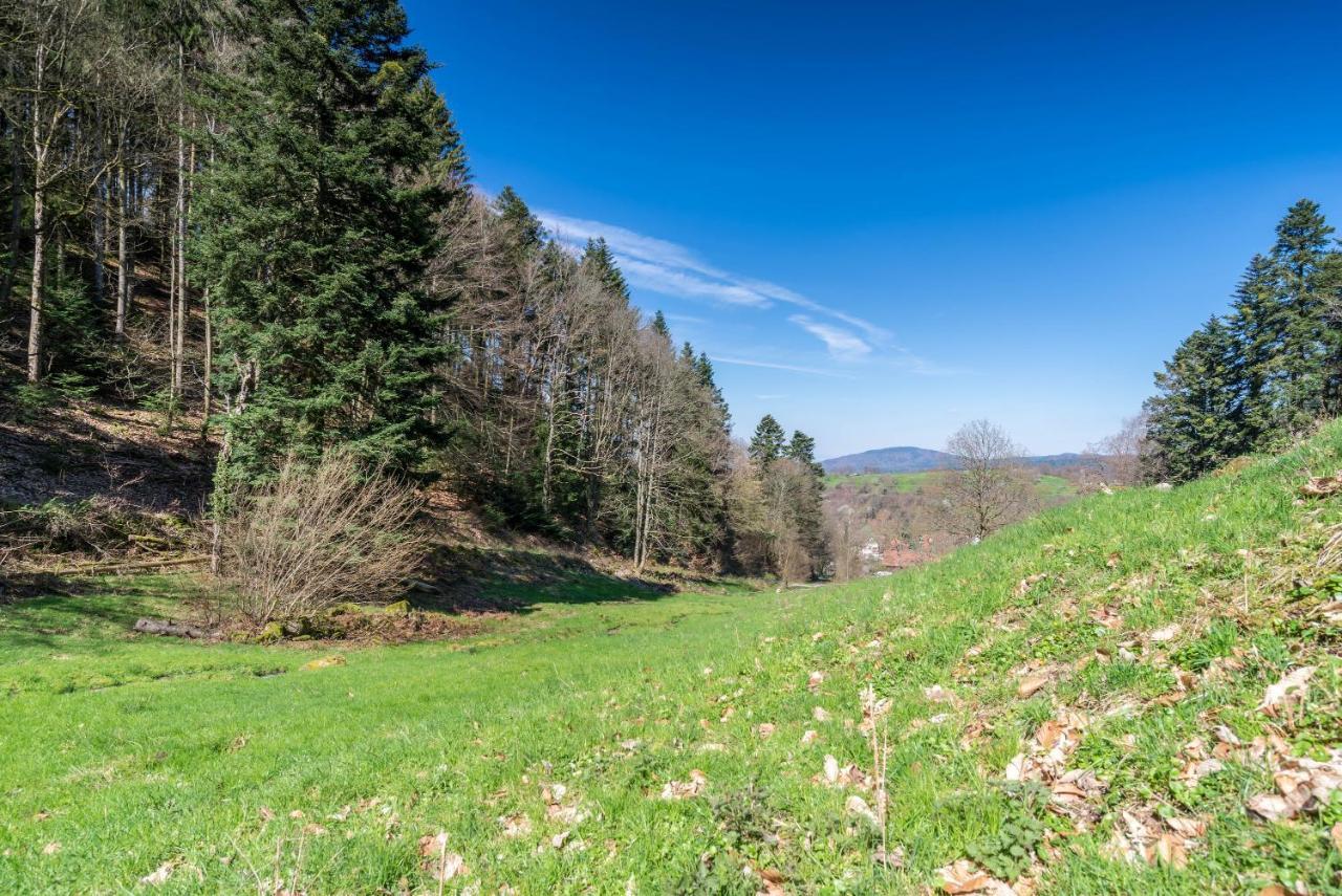 Ferienwohnung Gernsbach Exteriör bild